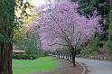 Blooms at Westminster Woods 2